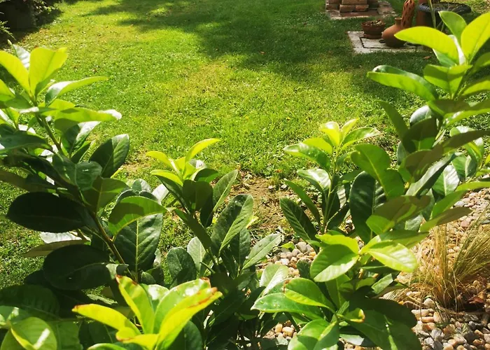 Apartamento Relic Sombor